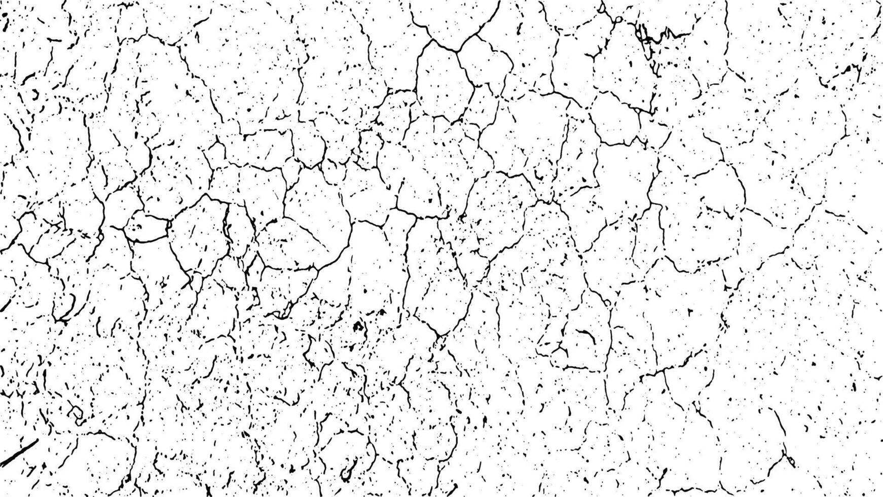un negro y blanco vector de un agrietado tierra, un negro y blanco dibujo de un agrietado muro, agrietado y agrietado blanco grunge efecto con un pocos pequeño agujeros, un negro y blanco dibujo de agrietado suelo,