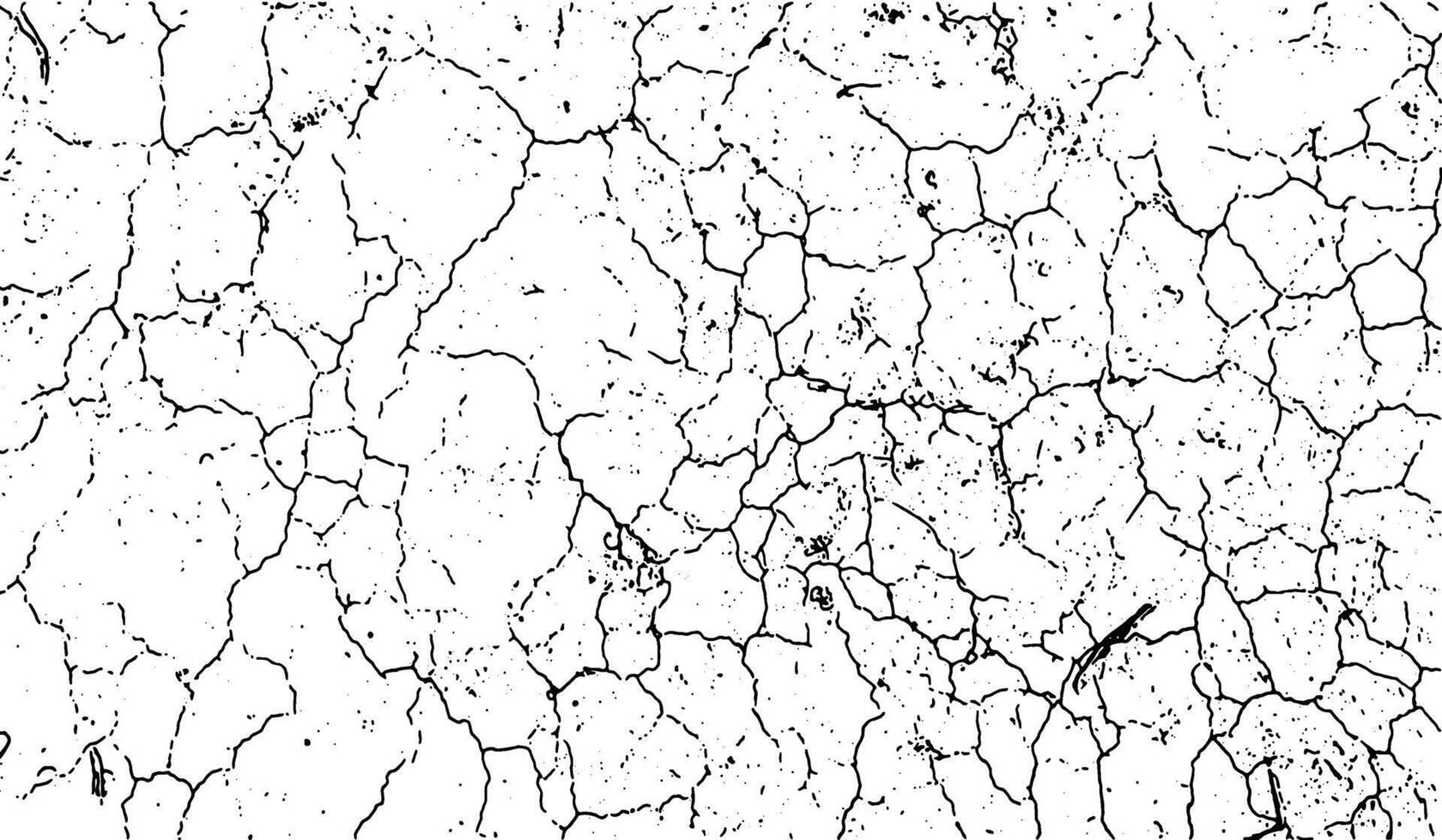 a black and white vector of a cracked  land, a black and white drawing of a cracked wall, cracked and cracked white grunge effect with a few small holes, a black and white drawing of cracked ground,