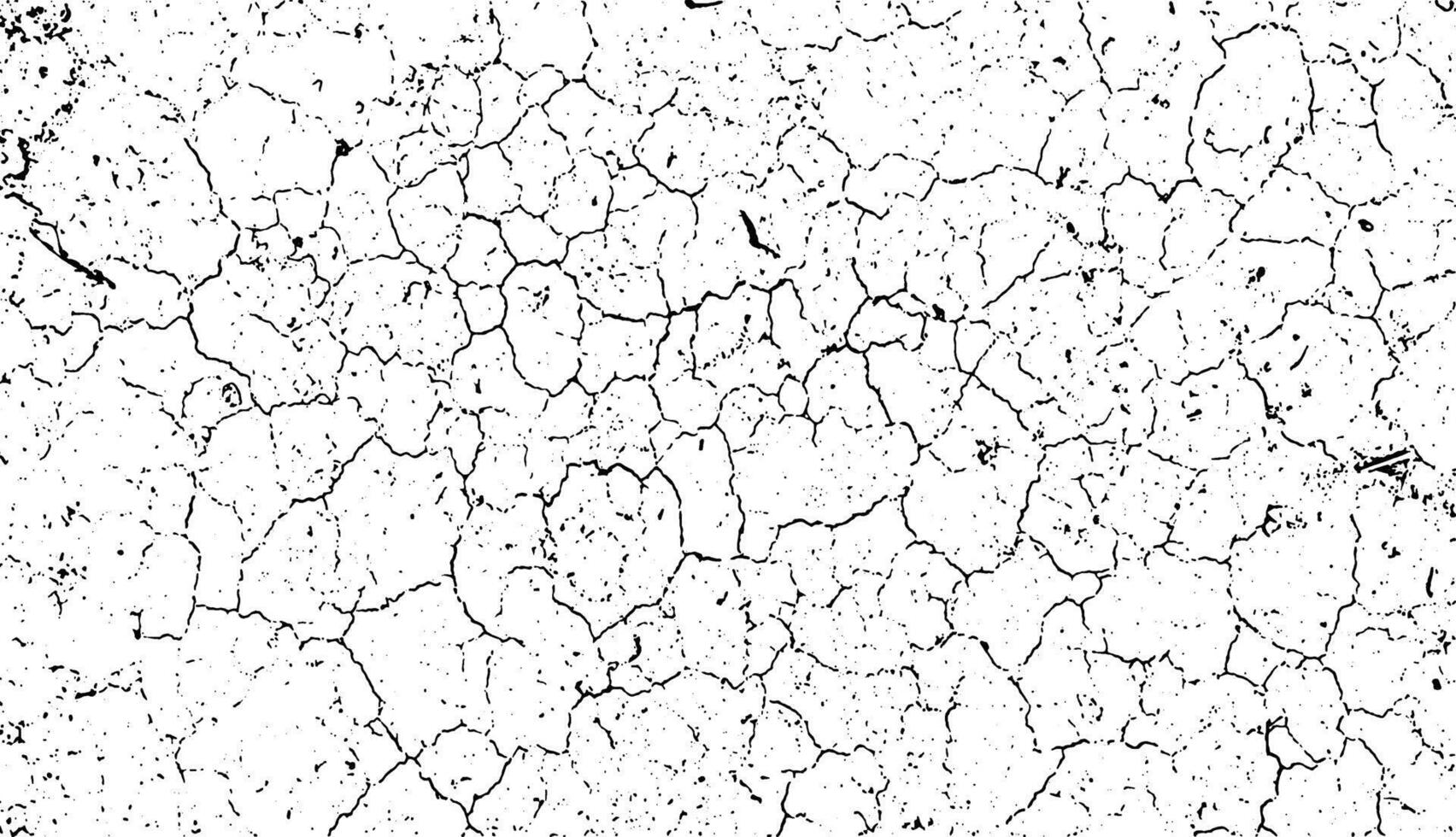 a black and white vector of a cracked  land, a black and white drawing of a cracked wall, cracked and cracked white grunge effect with a few small holes, a black and white drawing of cracked ground,