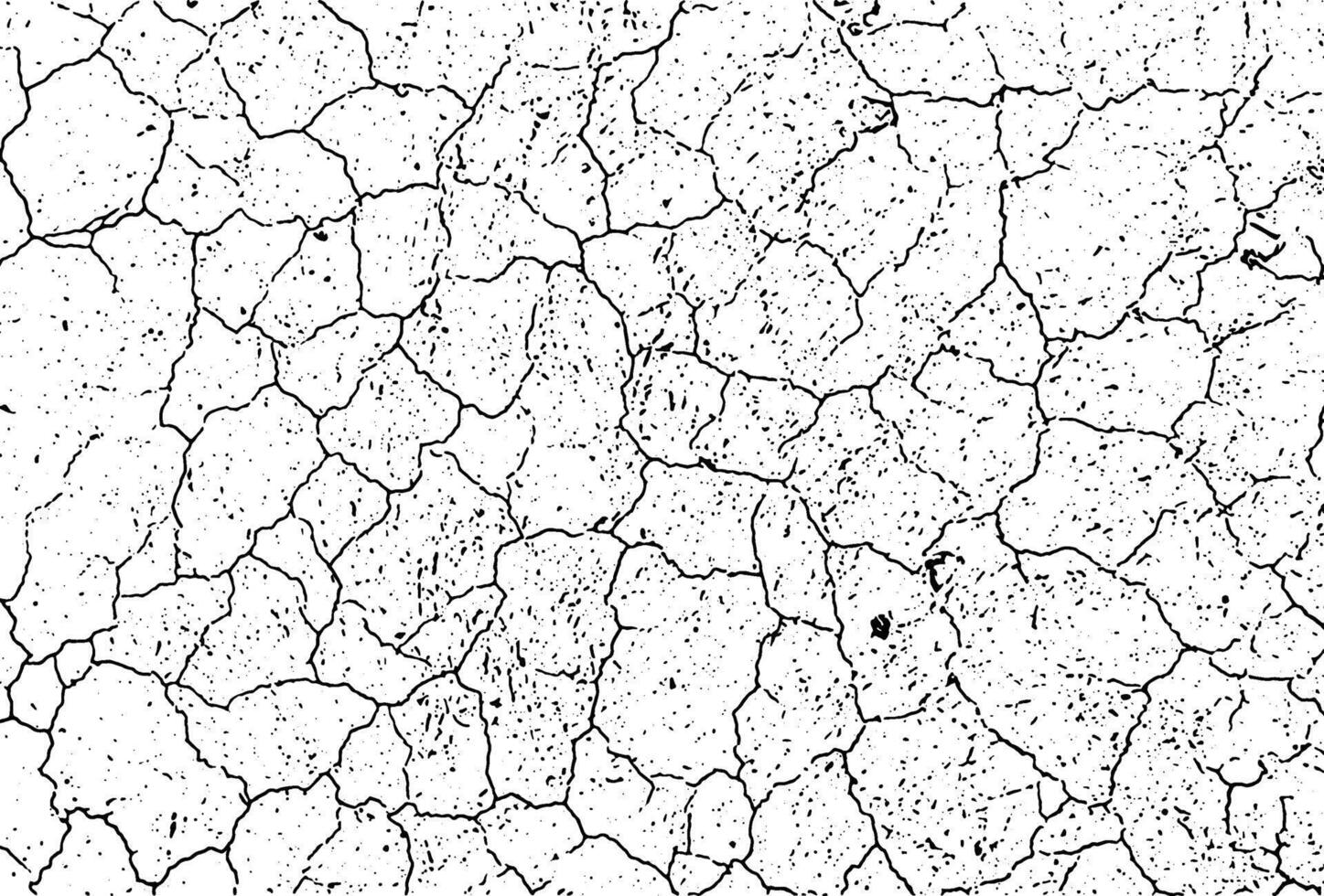 a black and white vector of a cracked  land, a black and white drawing of a cracked wall, cracked and cracked white grunge effect with a few small holes, a black and white drawing of cracked ground,
