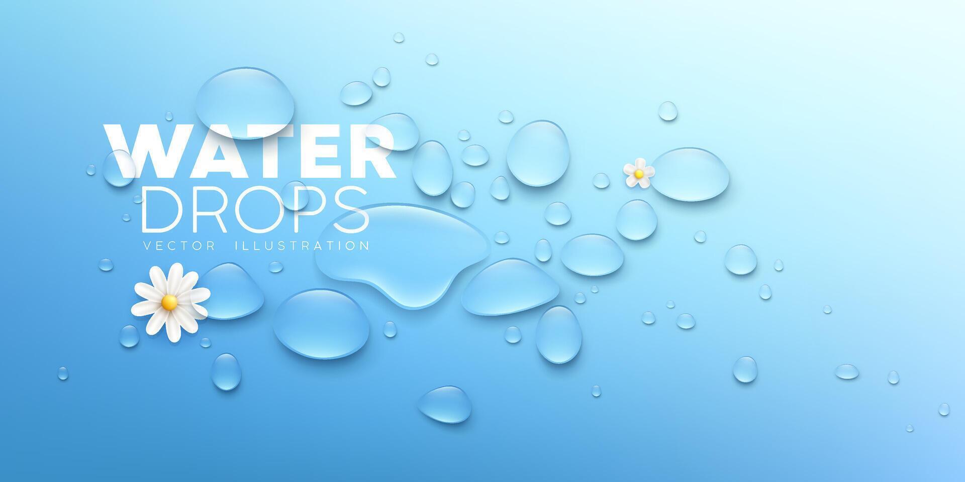 Water drops clear and white flower realistic banner design on blue background, Eps 10 vector illustration