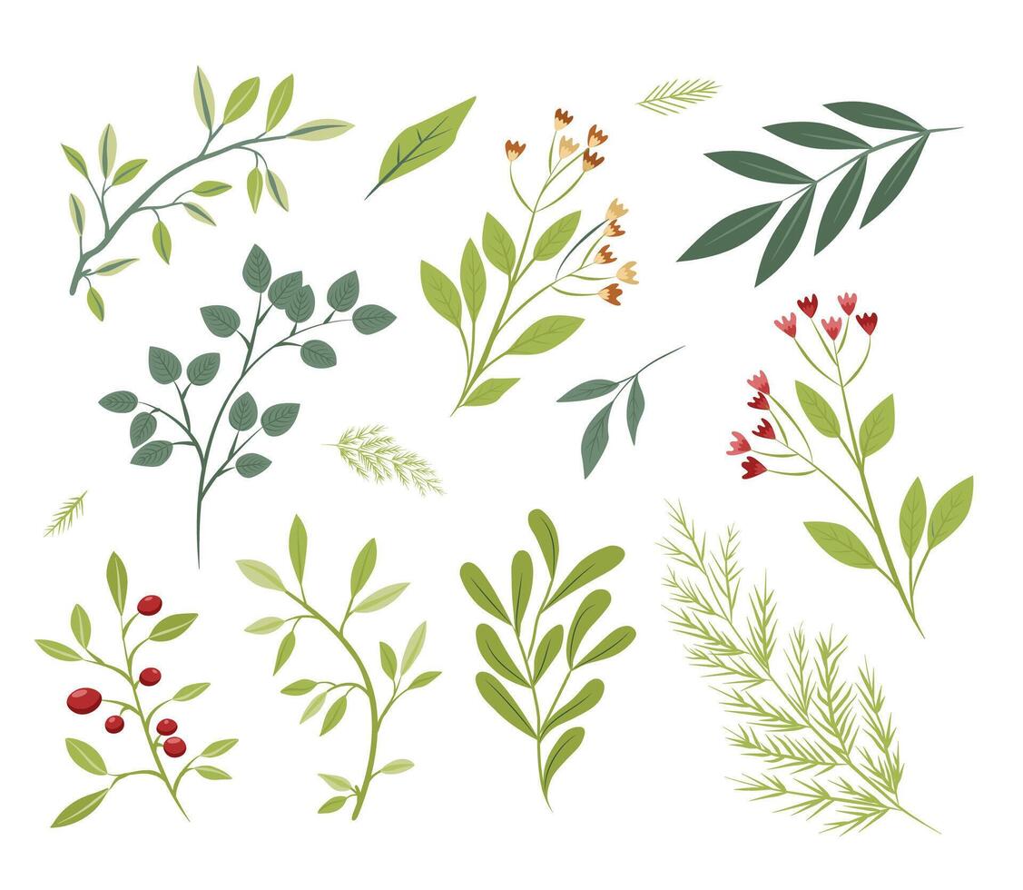 set of painted leaves, flowers, branches. flat cartoon elements. Vector illustration for the decoration of a bouquet, a postcard. set of elements