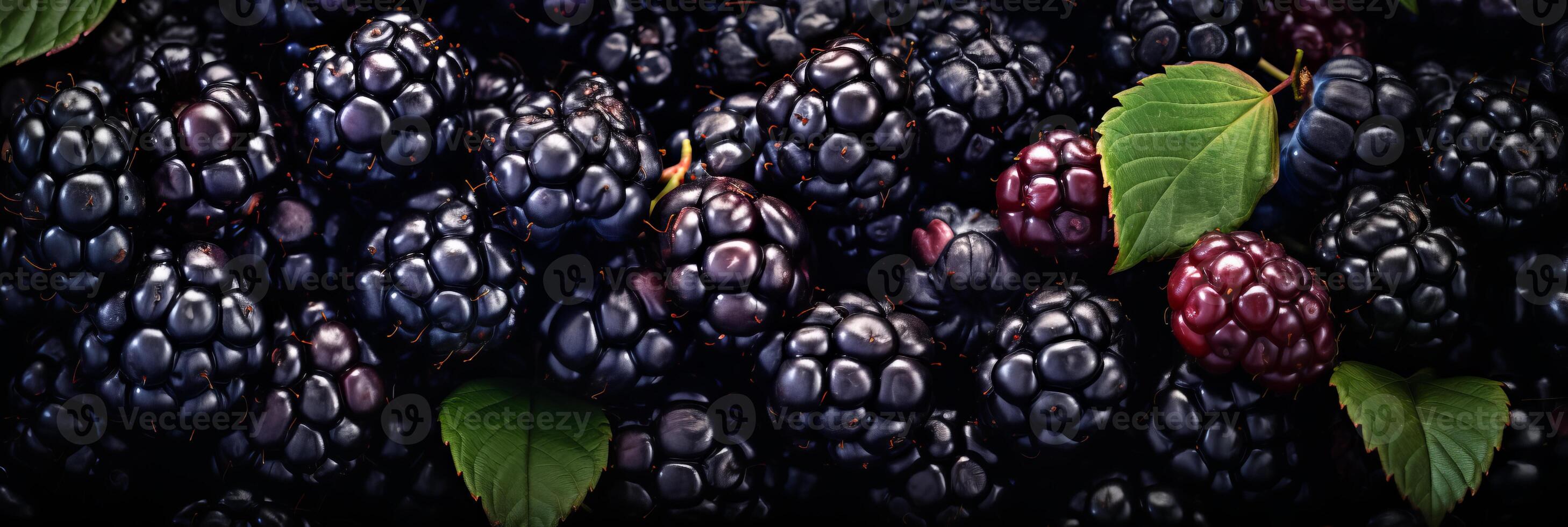AI generated Delicious boysenberries background banner for food and drink promotion and website header photo