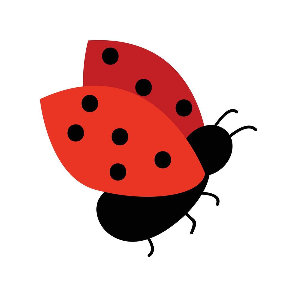 Cute ladybug. Vector illustration with flying ladybug. Hand drawn style. White isolated background.