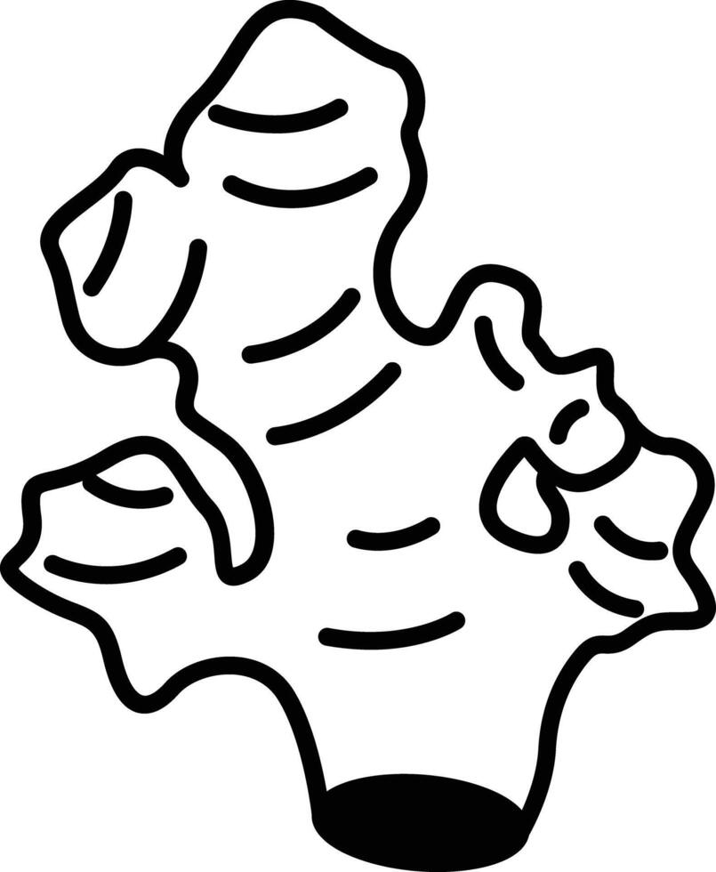 Ginger glyph and line vector illustration