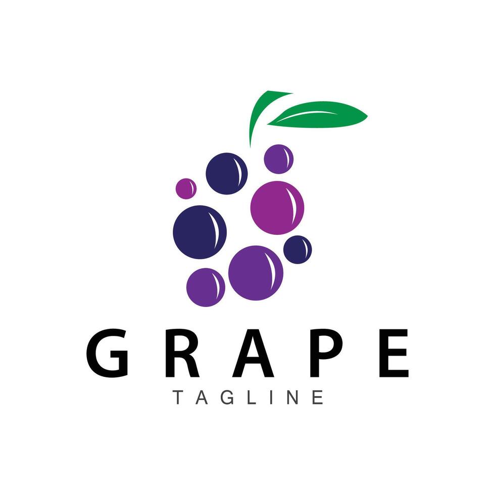 Grape Logo, Garden Vector, Fresh Purple Fruit, Wine Brand Design, Simple Illustration Template vector