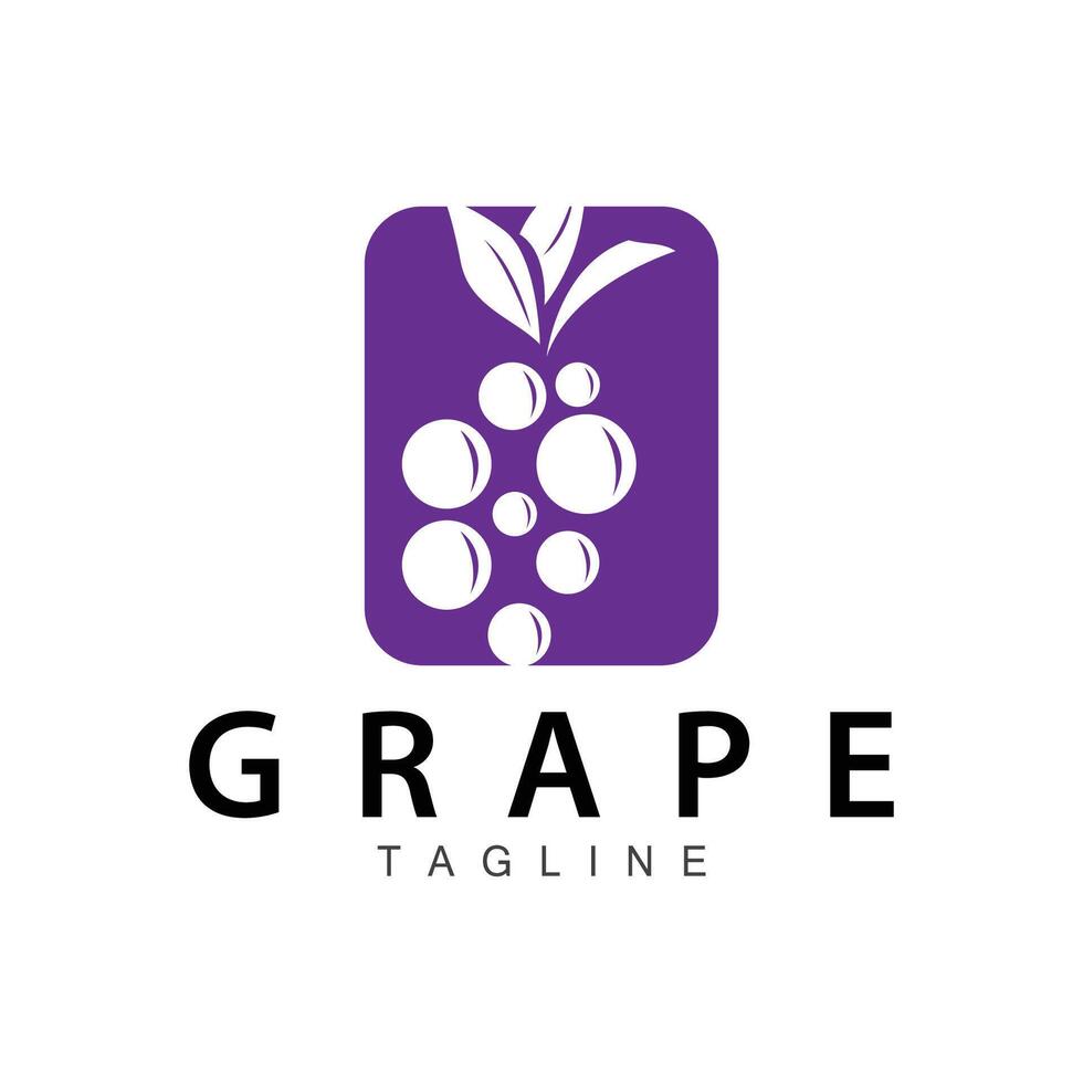 Grape Logo, Garden Vector, Fresh Purple Fruit, Wine Brand Design, Simple Illustration Template vector