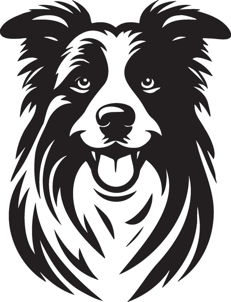 Border Collie Dog Illustration. vector