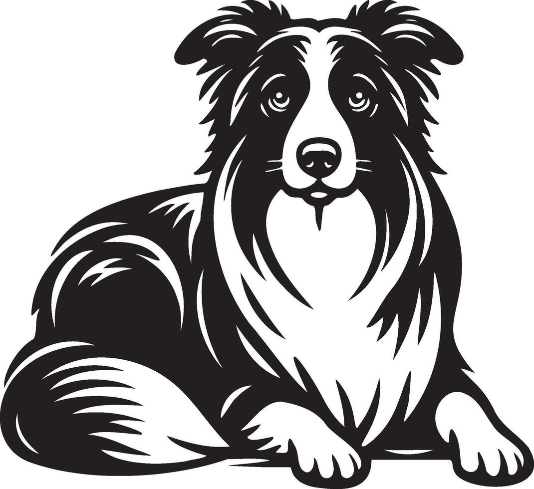 frontera collie perro ilustración. vector