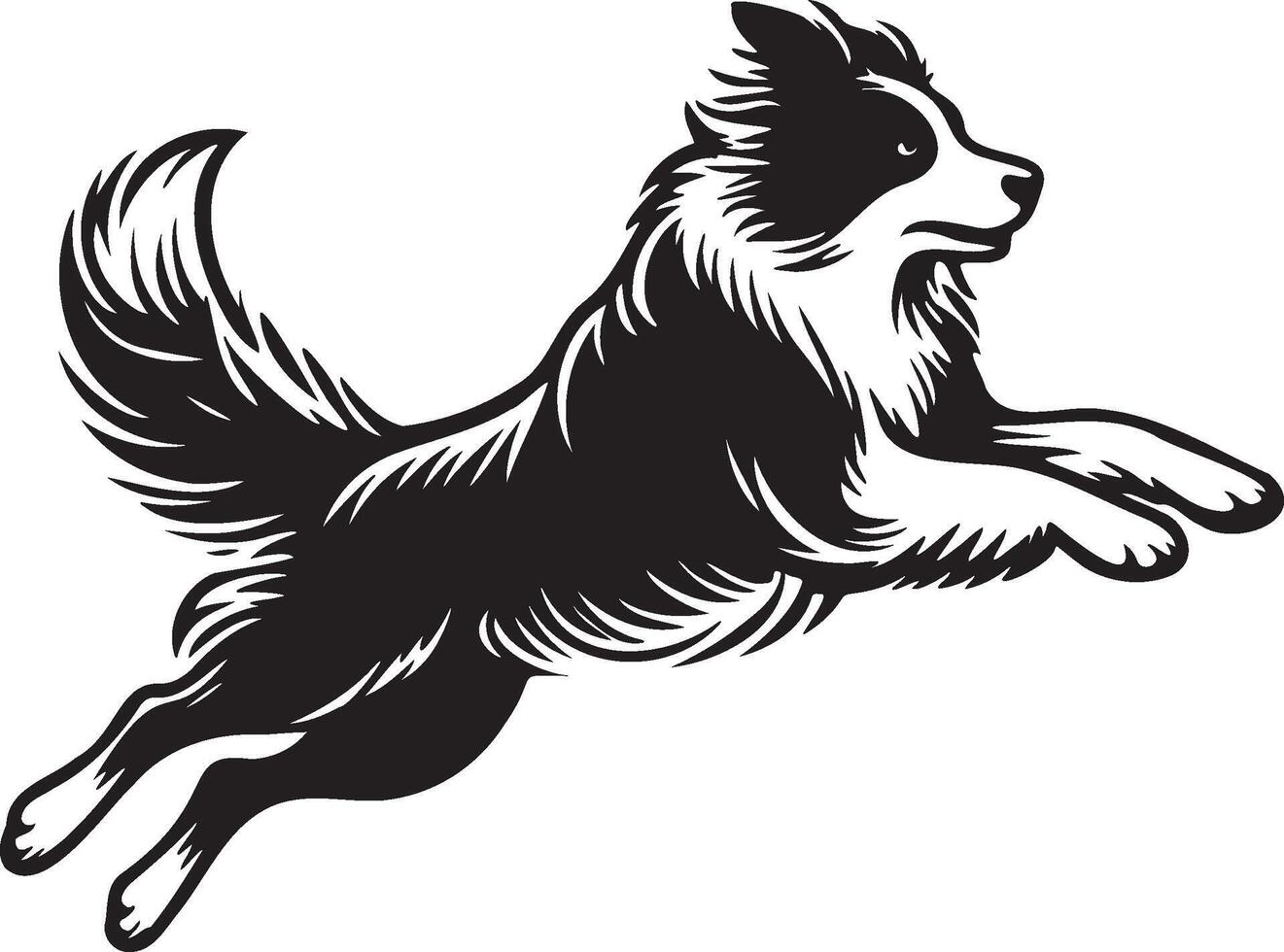 Border Collie Dog Illustration. vector