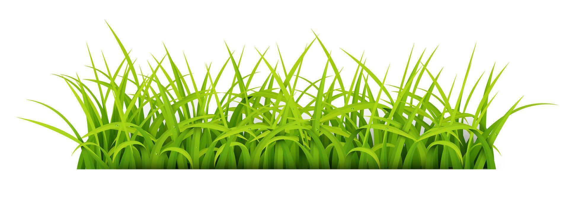 Sign with Text Space of Young Grass. Suitable For Nature Concept, Spring, and Summer Holiday, Vector Illustration