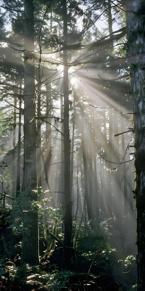 AI generated Sunlight Through Dense Forest photo