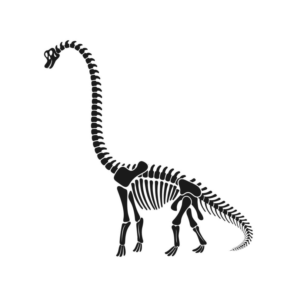 aislado brachiosaurus dinosaurio esqueleto fósil vector