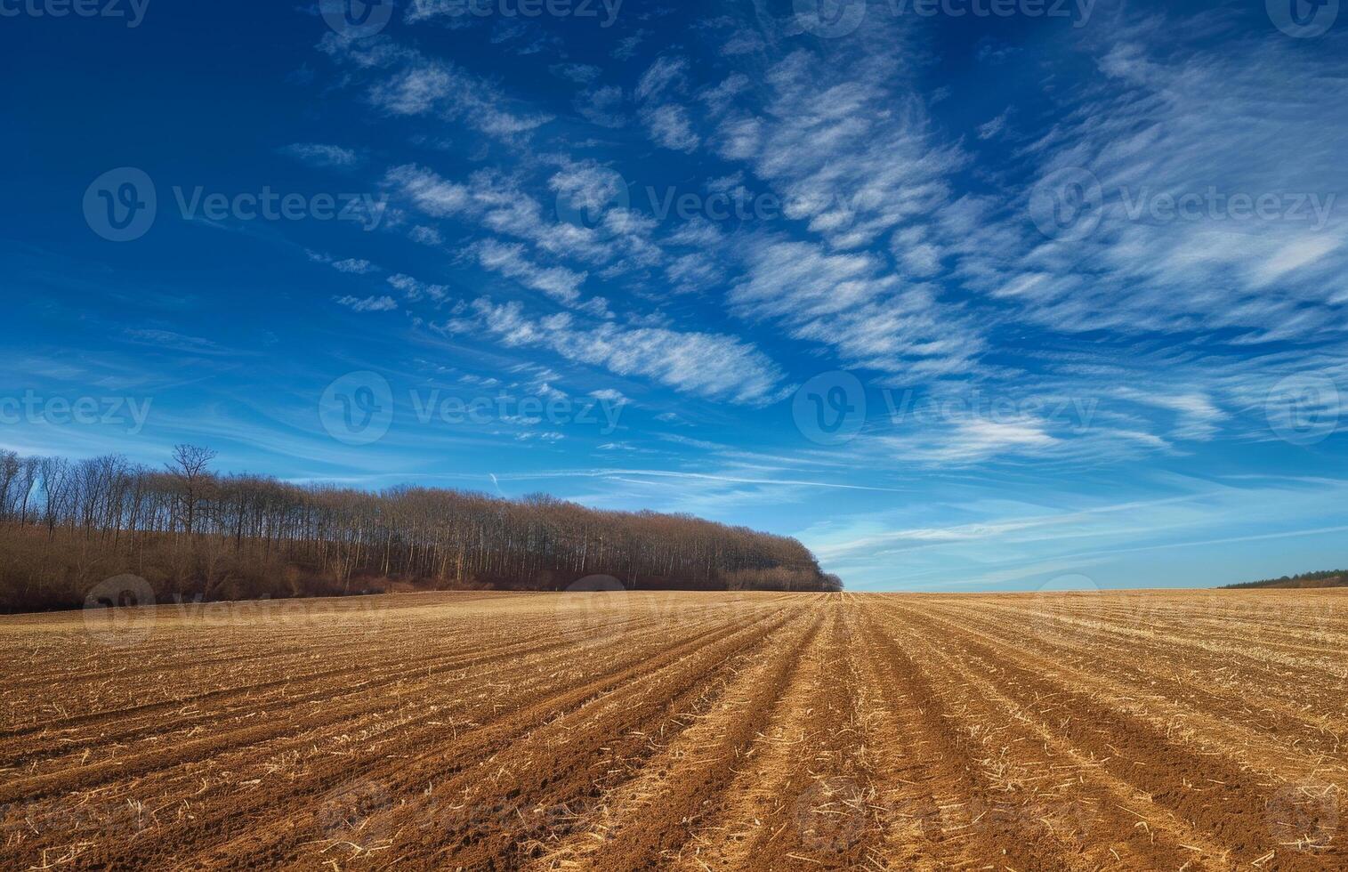 AI generated Plowed field and forest in the background photo