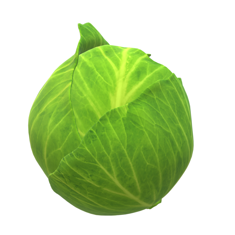 Fresh Vegetable Whole Cabbage with Green Leaves 3d rendering png