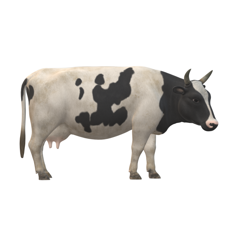 negro y blanco manchado vaca 3d representación png