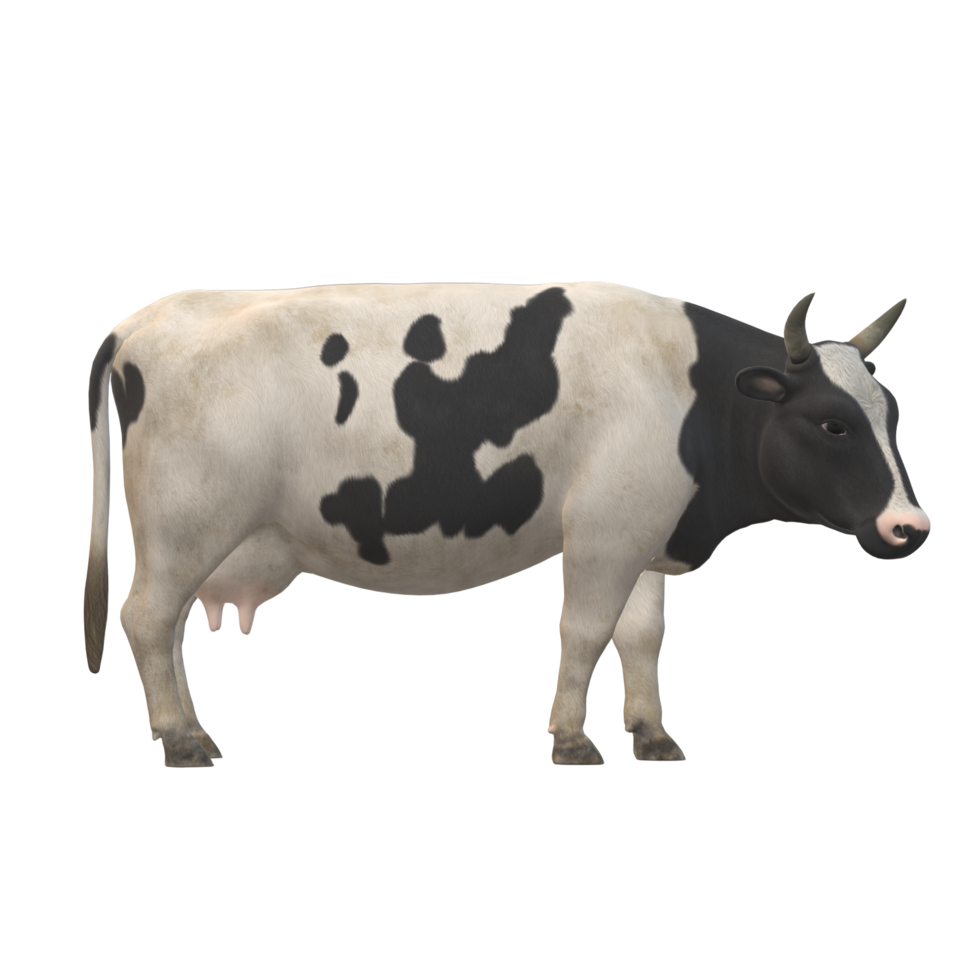 Black and white spotted cow 3D Rendering png