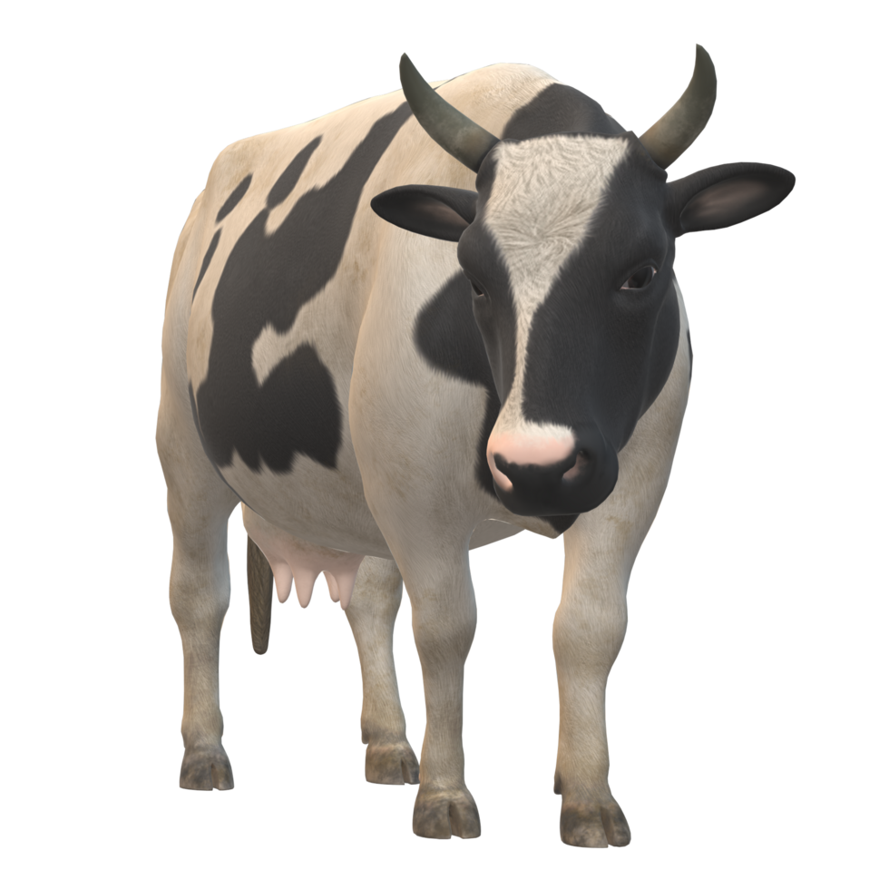 Black and white spotted cow 3D Rendering png