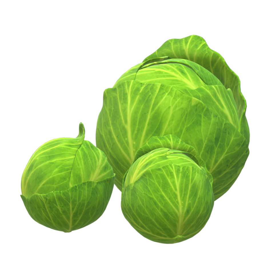 Fresh Vegetable Whole Cabbage with Green Leaves 3d rendering png