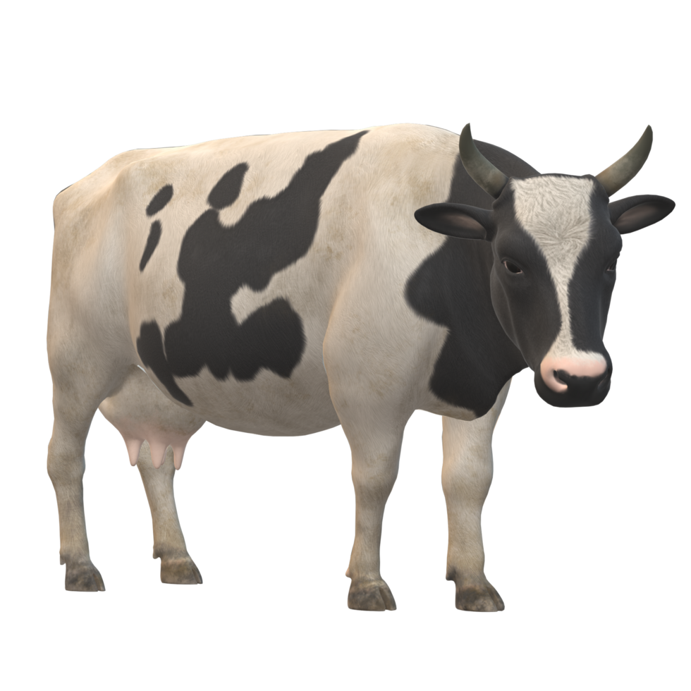 Black and white spotted cow 3D Rendering png