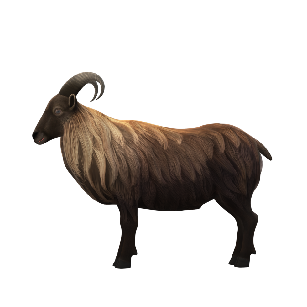 sheep  Eid al Adha  3D Rendering png