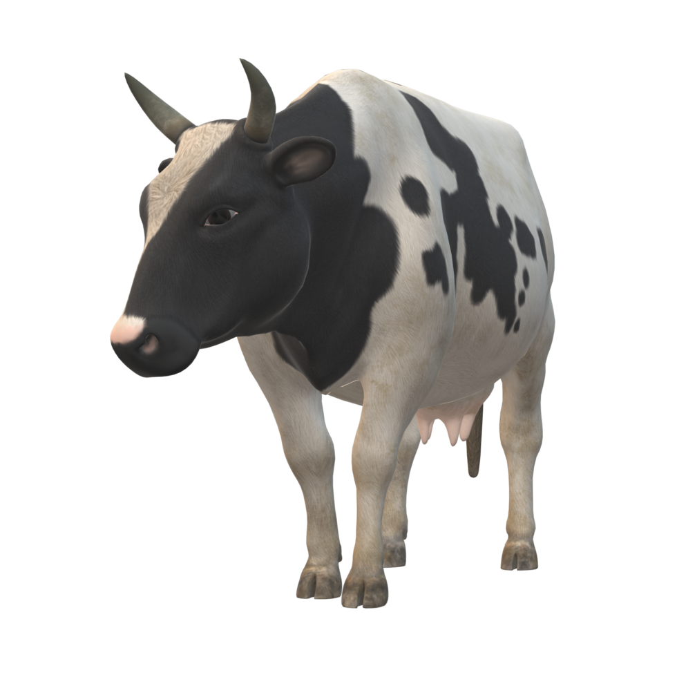 Black and white spotted cow 3D Rendering png