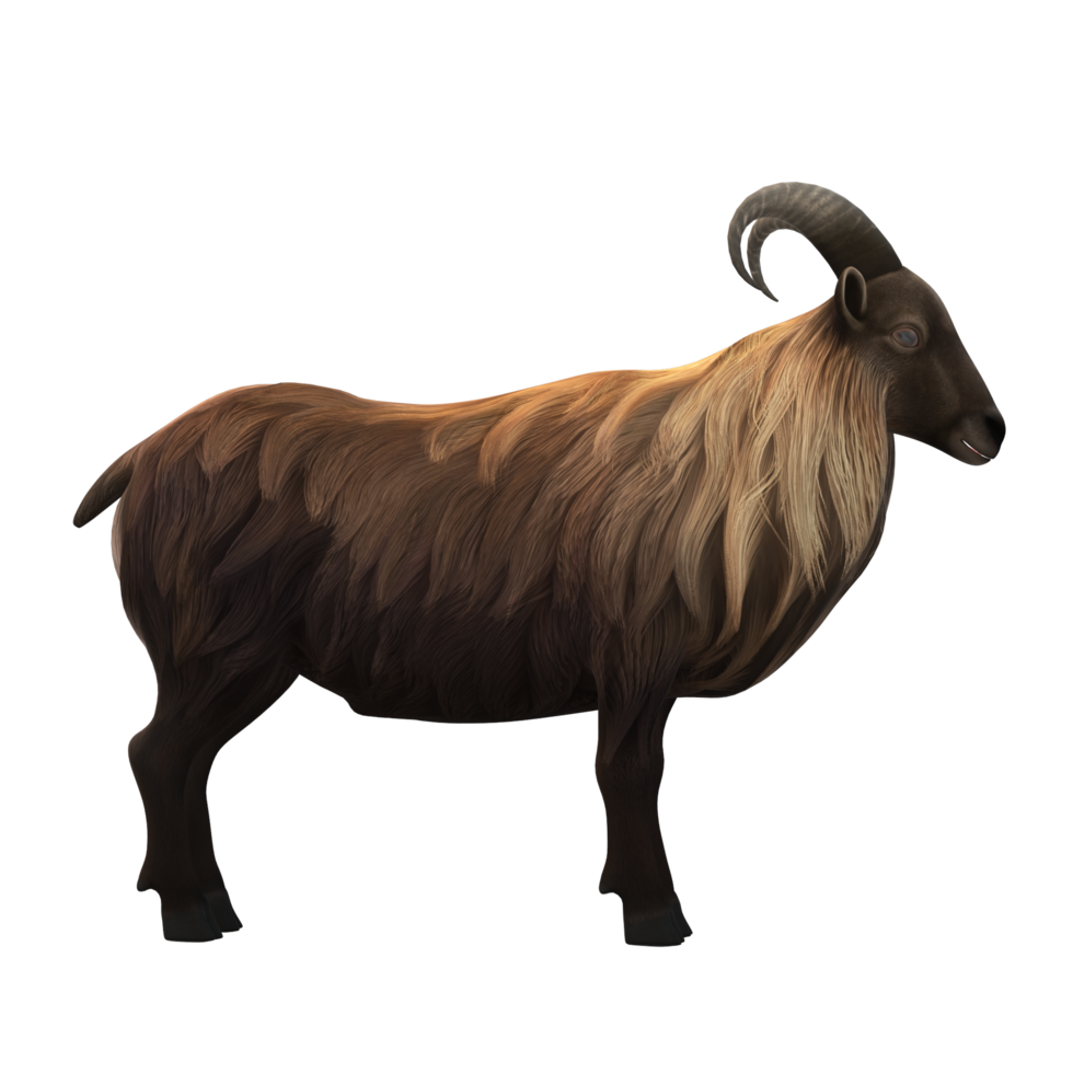 sheep  Eid al Adha  3D Rendering png