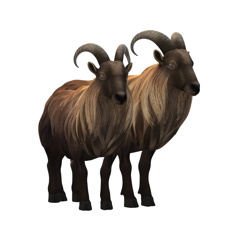 sheep  Eid al Adha  3D Rendering png