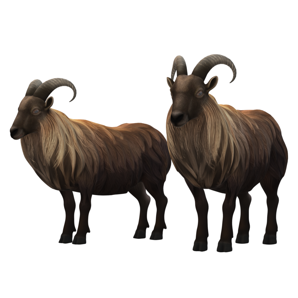 sheep  Eid al Adha  3D Rendering png