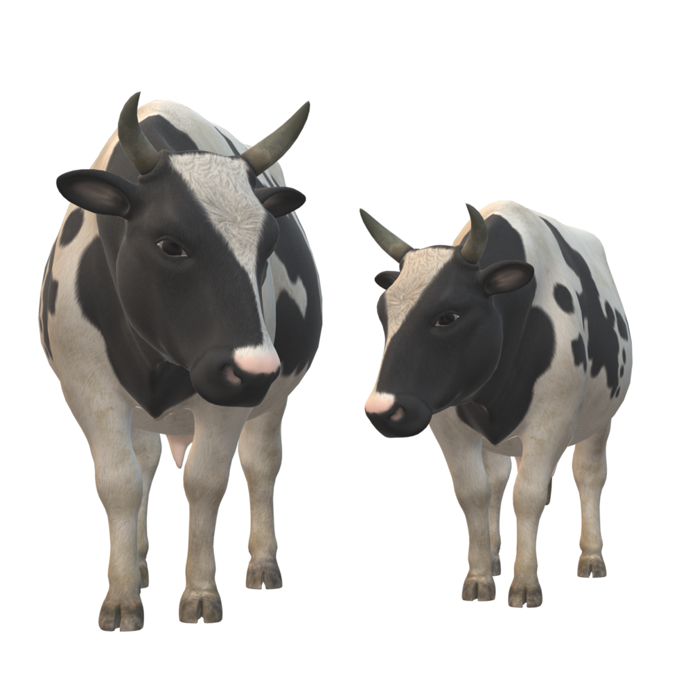 Black and white spotted cow 3D Rendering png