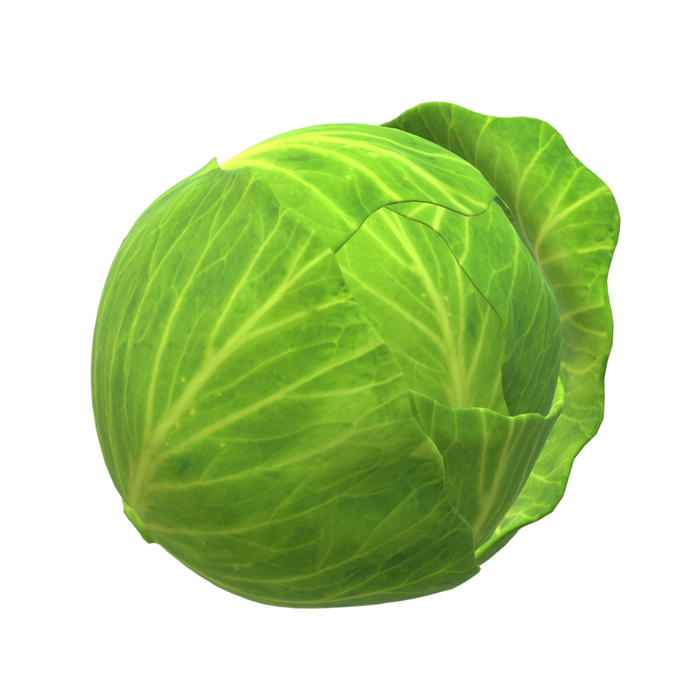 Fresh Vegetable Whole Cabbage with Green Leaves 3d rendering png