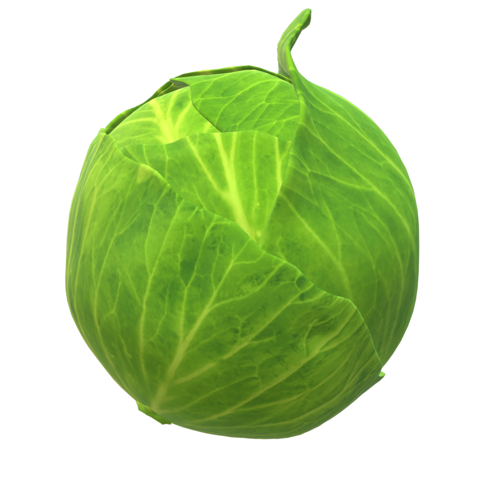 Fresh Vegetable Whole Cabbage with Green Leaves 3d rendering png