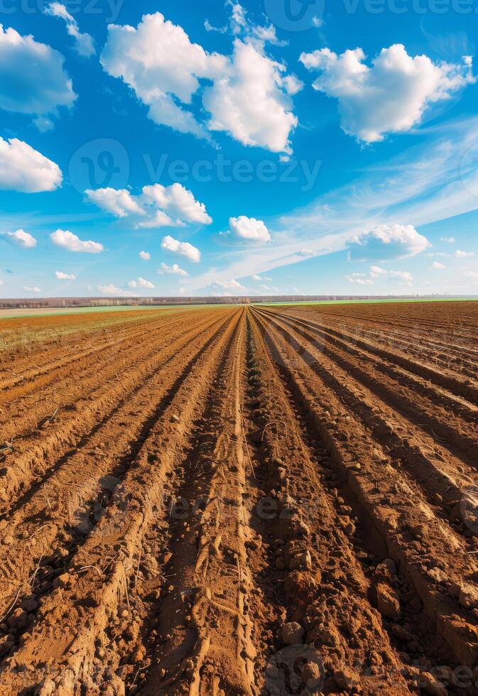 AI generated Furrows row pattern in plowed field prepared for planting crops in spring. photo