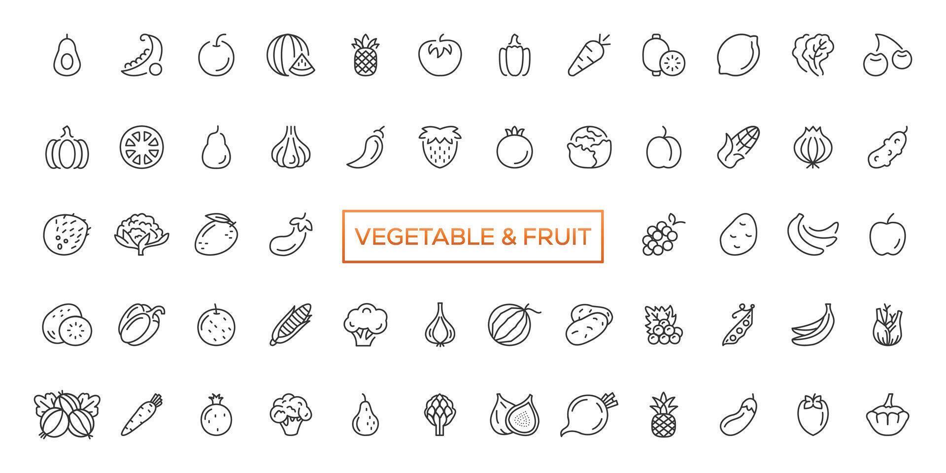 frutas y vegetales íconos colocar. vector línea iconos, moderno lineal diseño gráfico elementos, contorno símbolos