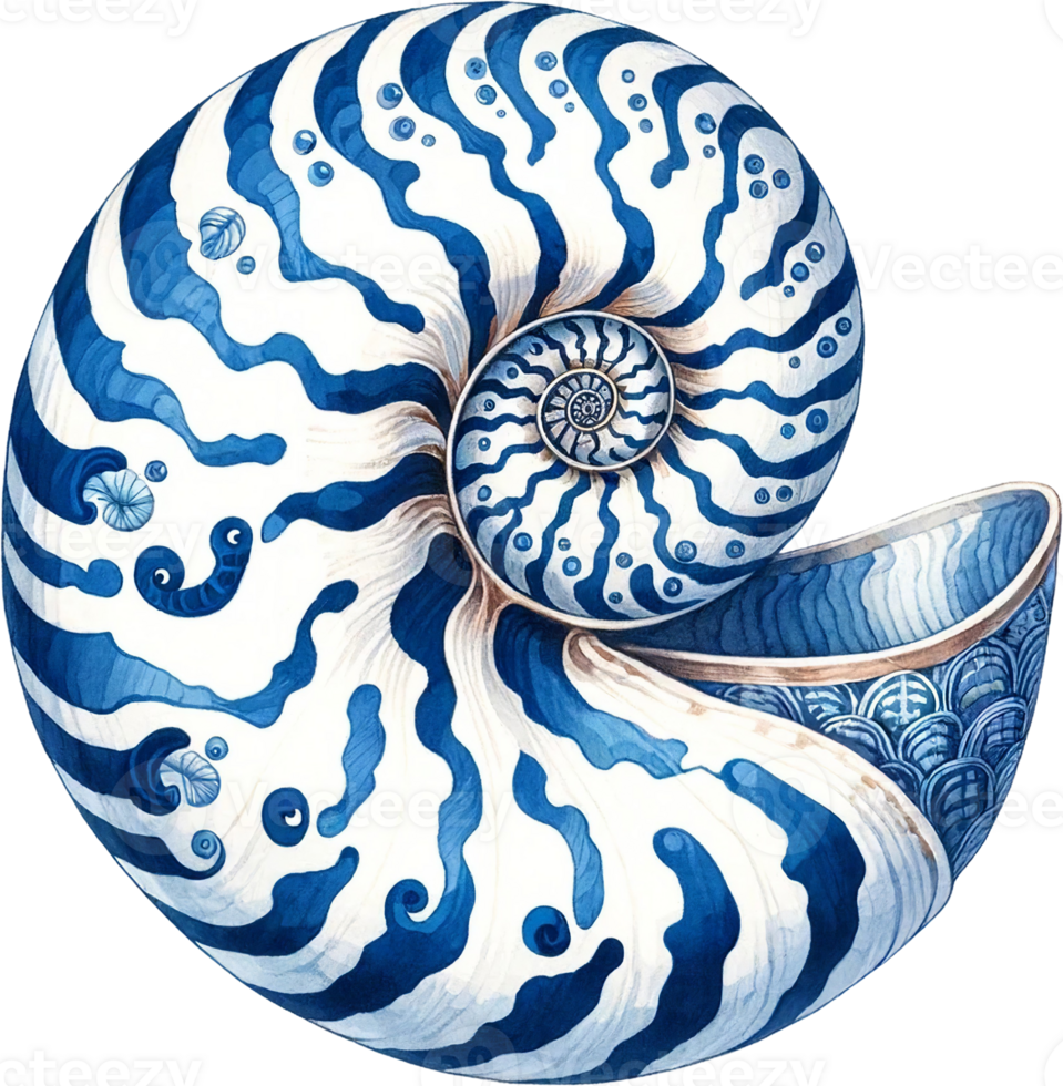 AI generated Artistic Nautilus Shell Design with Blue Floral Motifs png