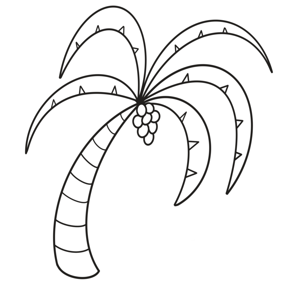 colored coconut tree png