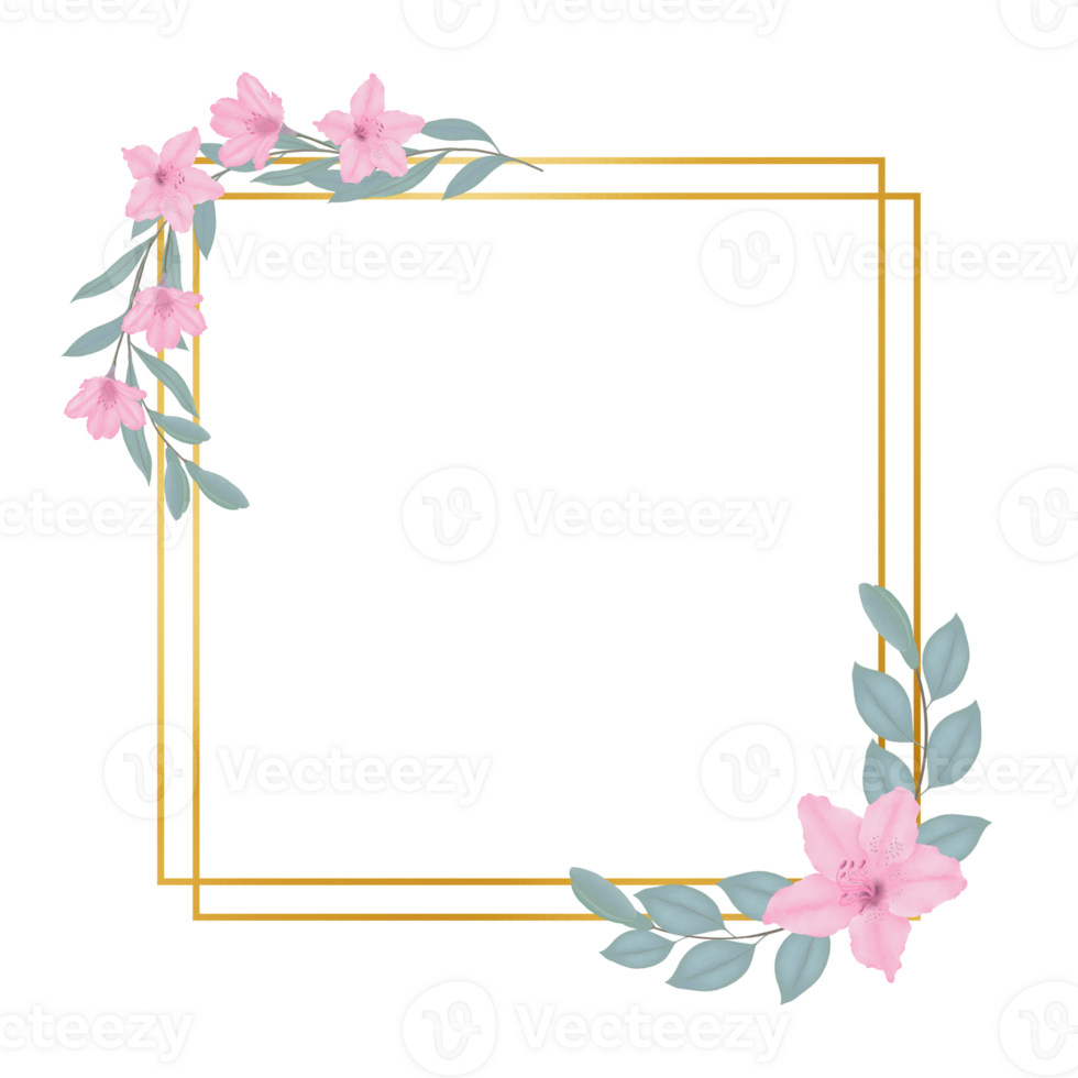 ritad för hand rosa azalea blooms - vår blomma illustration png