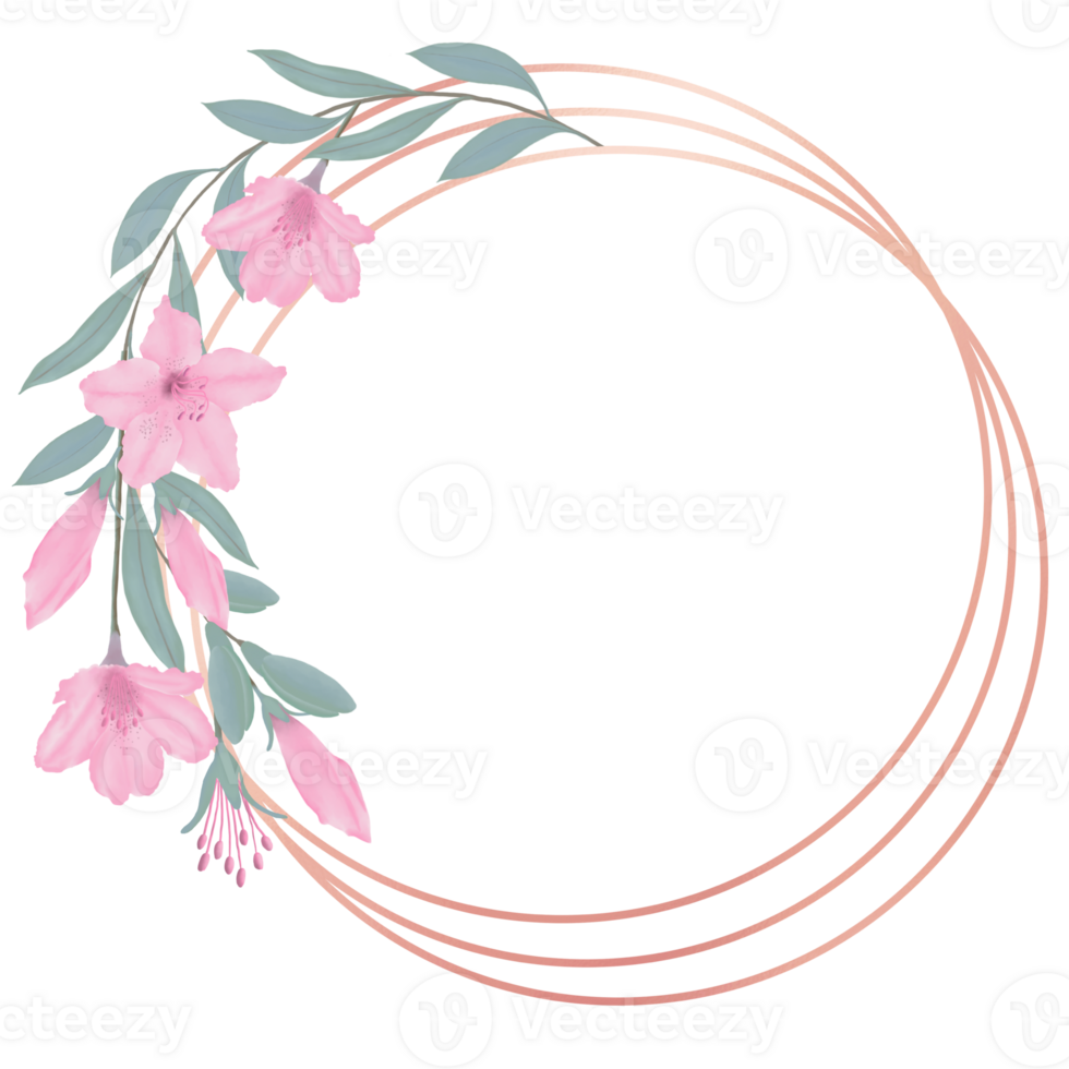 Hand-Drawn Pink Azalea Blooms - Spring Flower Illustration png