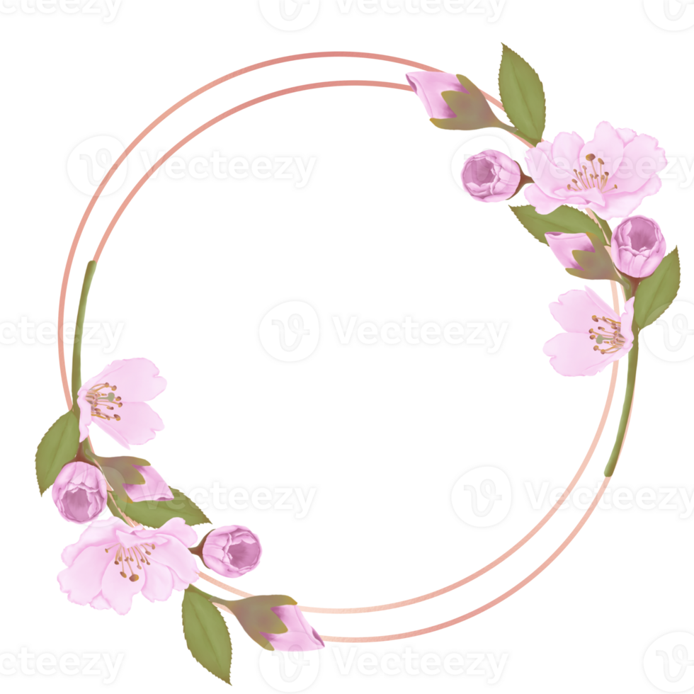 Hand-Drawn Pink Cherry Blossoms - Japan Inspired Flowers png