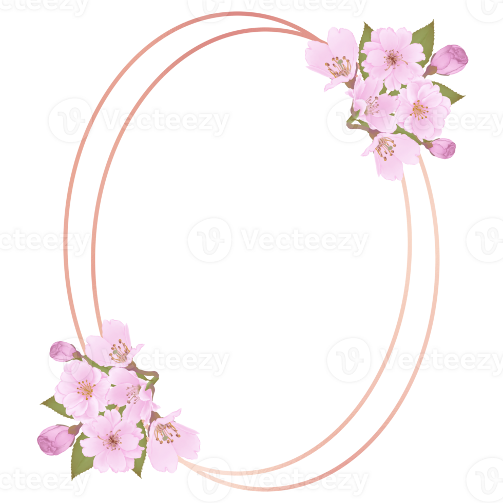 Hand-Drawn Pink Cherry Blossoms - Japan Inspired Flowers png