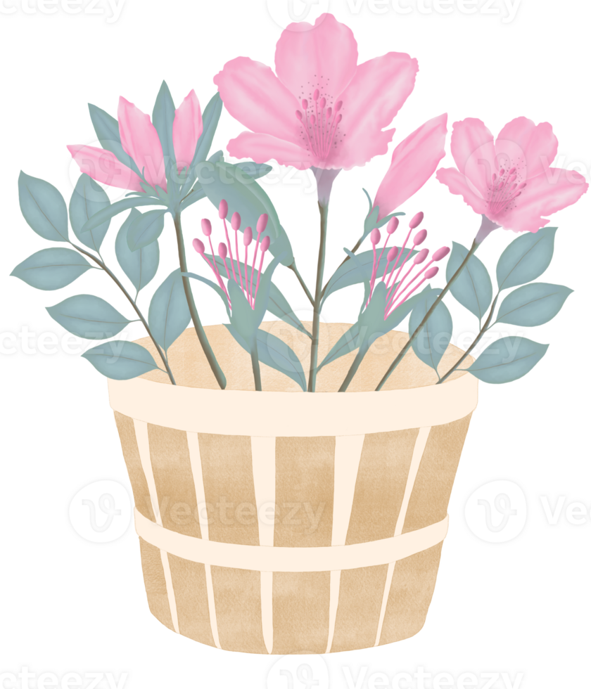 dibujado a mano rosado azalea floraciones - primavera flor ilustración png