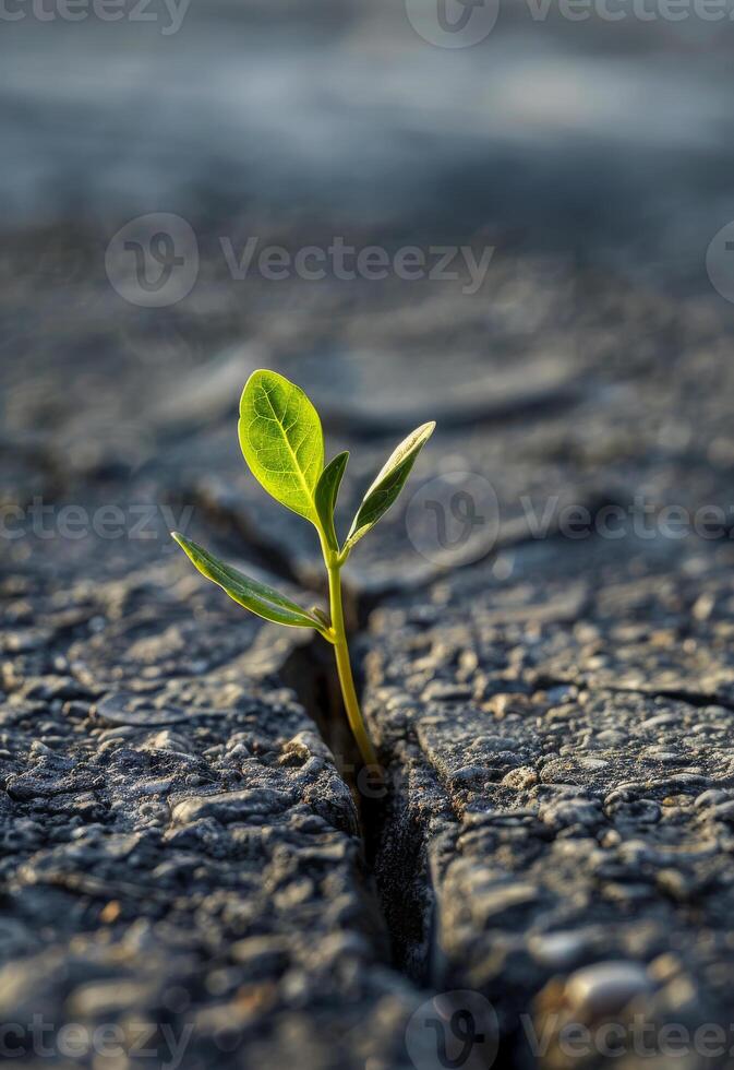 AI generated Small plant is growing in crack in the asphalt. photo