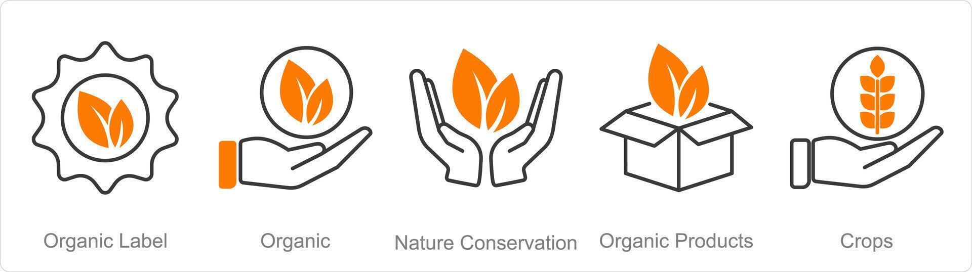 un conjunto de 5 5 orgánico agricultura íconos como orgánico etiqueta, orgánico, naturaleza conservación vector