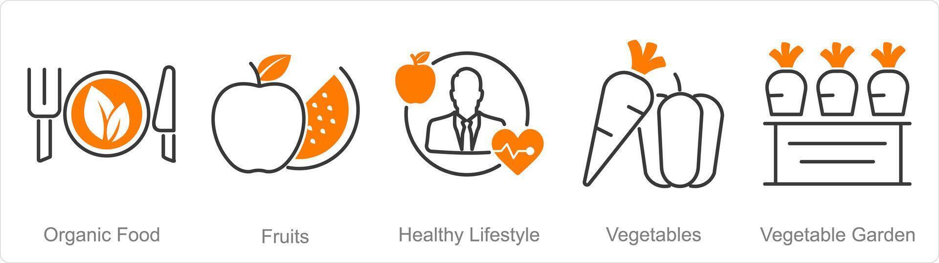 A set of 5 Organic Farming icons as organic food, fruits, healthy lifestyle vector