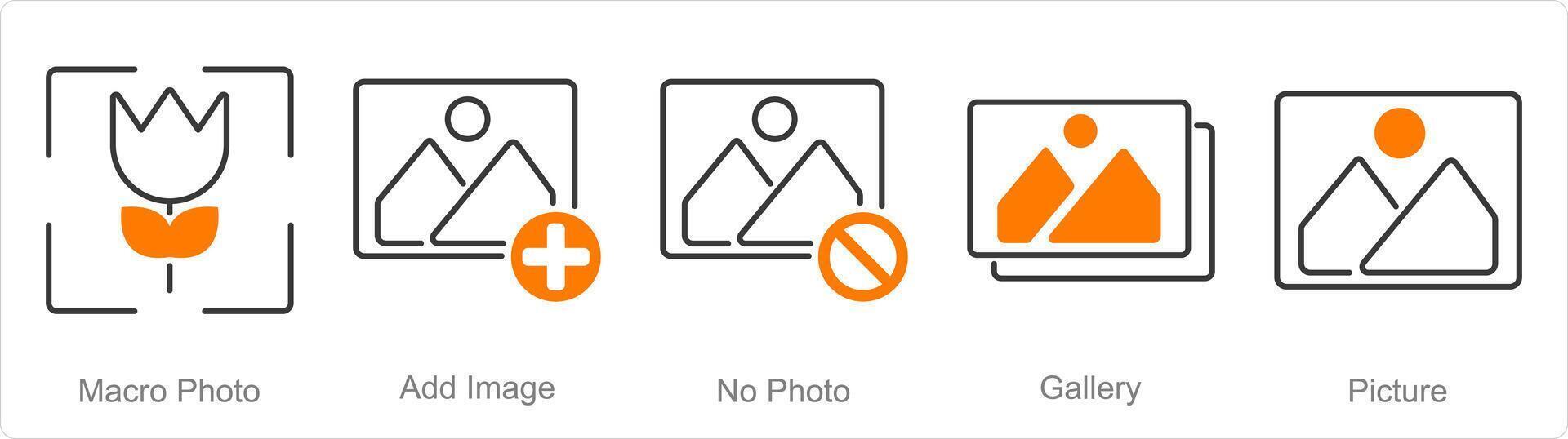 A set of 5 Photography icons as macro photo, add image, no photo vector