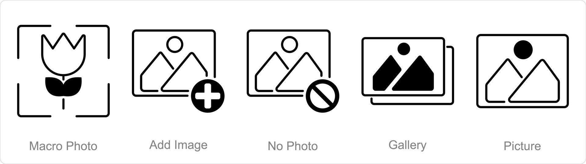 un conjunto de 5 5 fotografía íconos como macro foto, añadir imagen, No foto vector