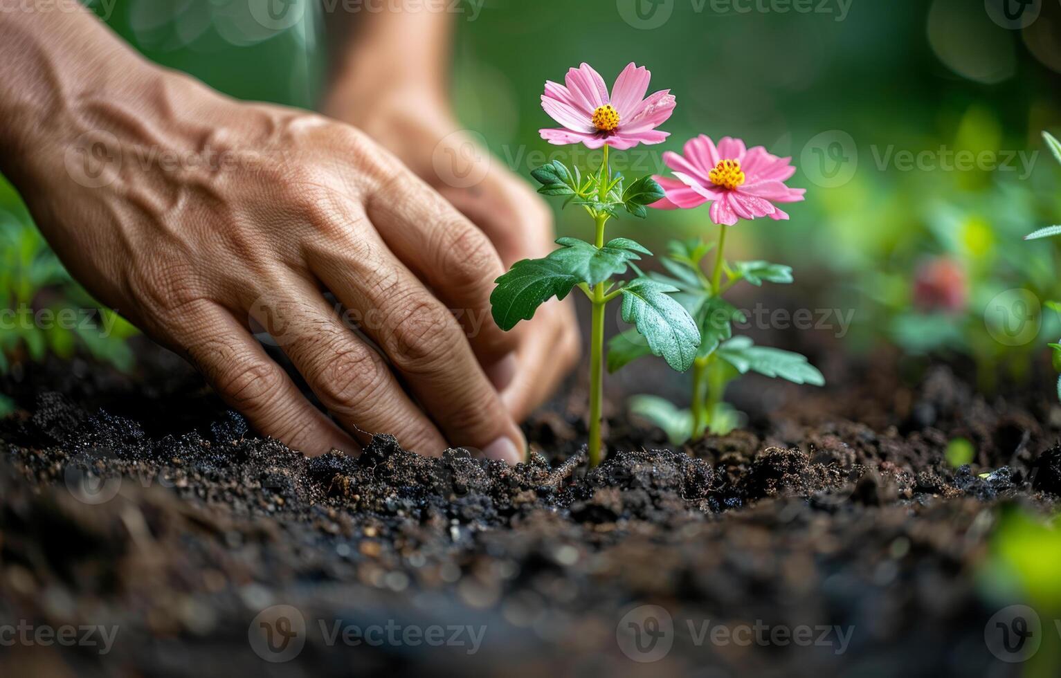 AI generated Gardener planting pink flowers in the garden close up photo