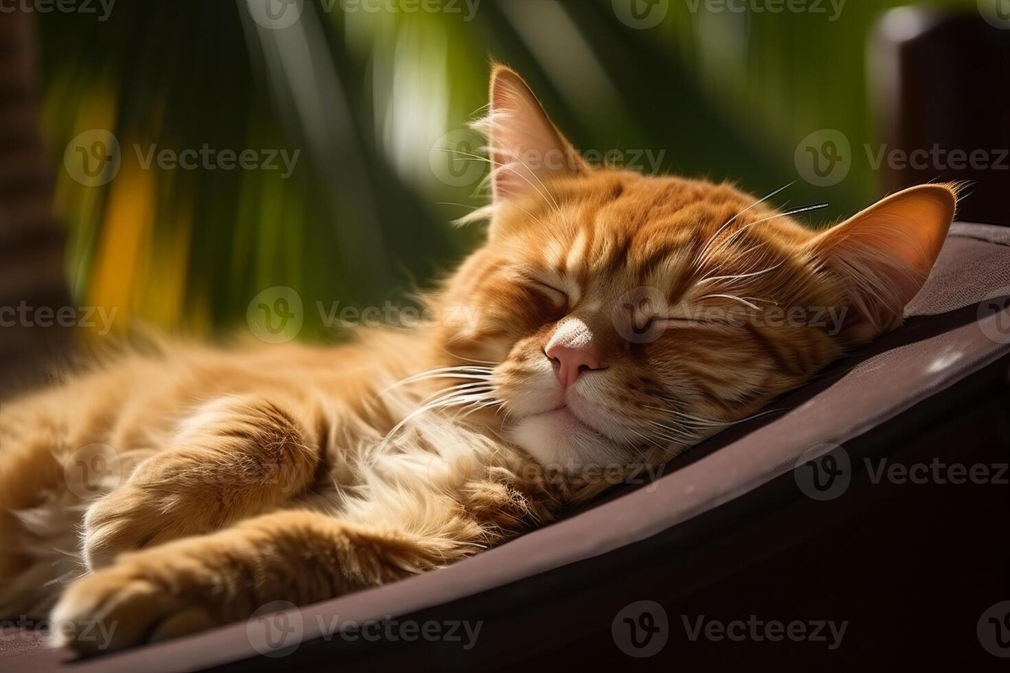 AI generated Tabby cat relaxing on beautiful beach with space for text - perfect for vacation concept photo