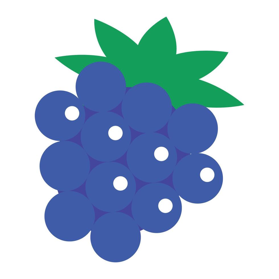 Vector fresh grapes fruit healthy icon on white