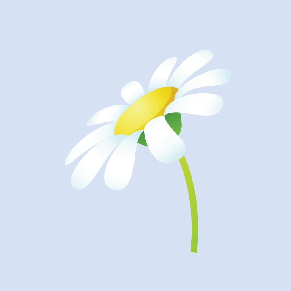 vector realistic detailed spring flower on blue background